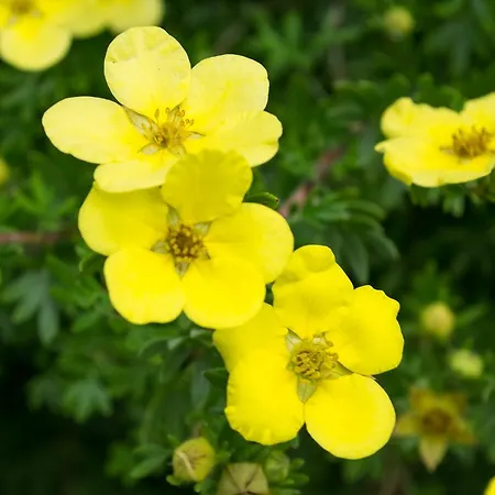 ベッド・アンド・ブレックファスト Lough Lannagh